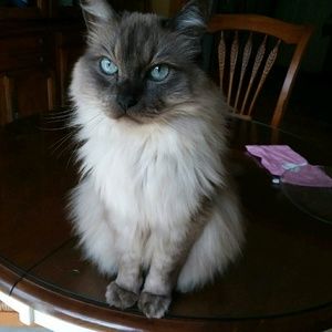 Meet your Posher, Jane